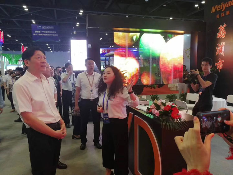 Meiyad Attended the 2019 Guangxi Exhibition